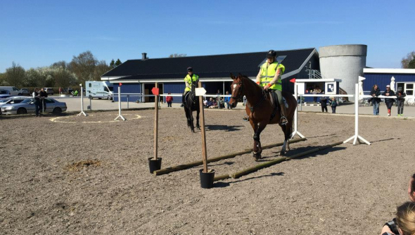 Heste Teamwork d. 11. maj 2019