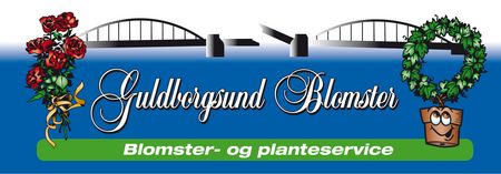 Sponsor aftale med Guldborgsund Blomster